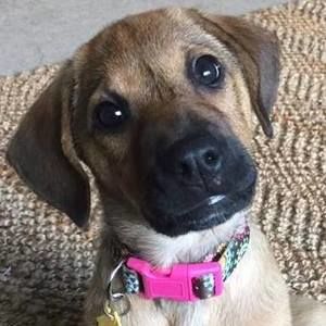 Meet your Posher, Norma